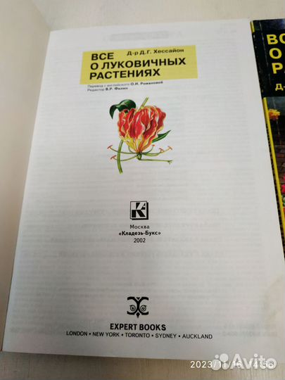 Хессайон, всё о клумбовых растениях