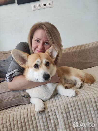 Выгул собак/ зоо няня