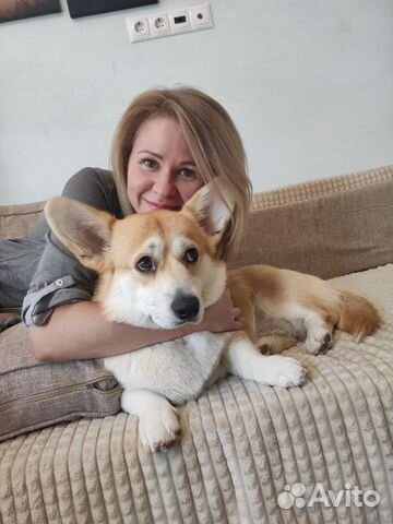 Выгул собак/ зоо няня