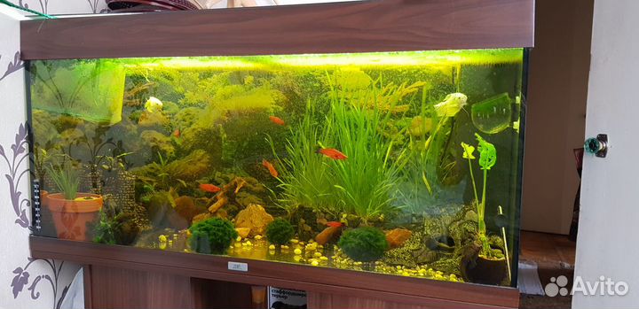 Аквариум 180 литров