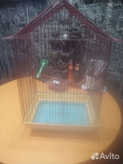 Клетки для птиц