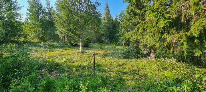 Участок 6 сот. (СНТ, ДНП)