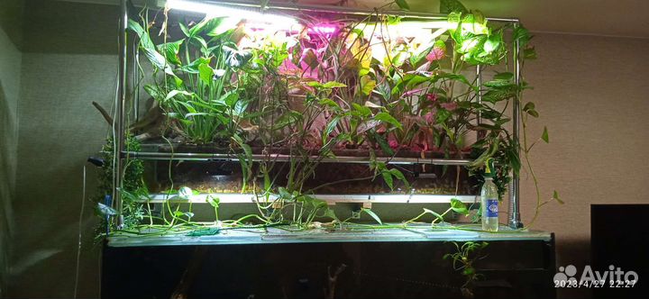 Аквариум