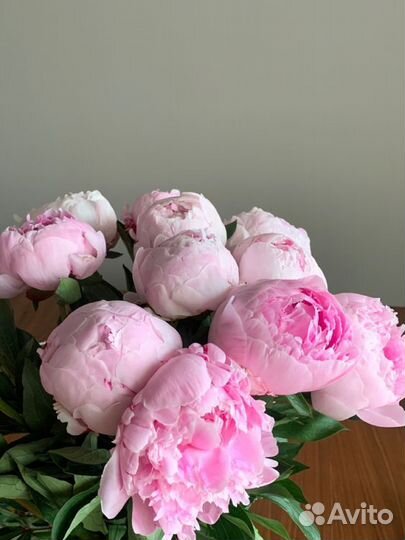 Цветы Букеты Розы доставка 11 15 25 35 Ставрополь