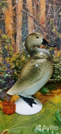 Утка чирок фарфоровая статуэтка