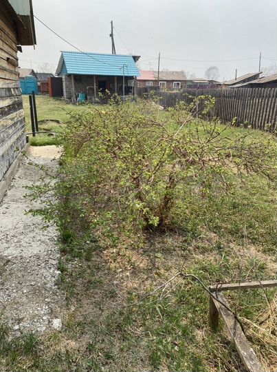 Дом 36 м² на участке 24 сот.