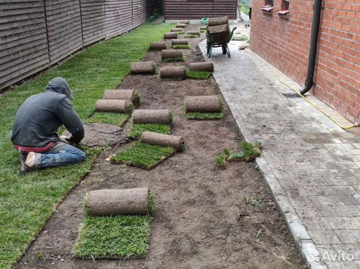 Полевой рулонный газон универсал опт