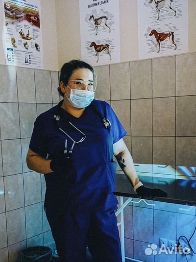 Ветеринарный врач на дом