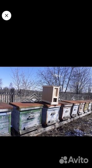Улей для пчел бу