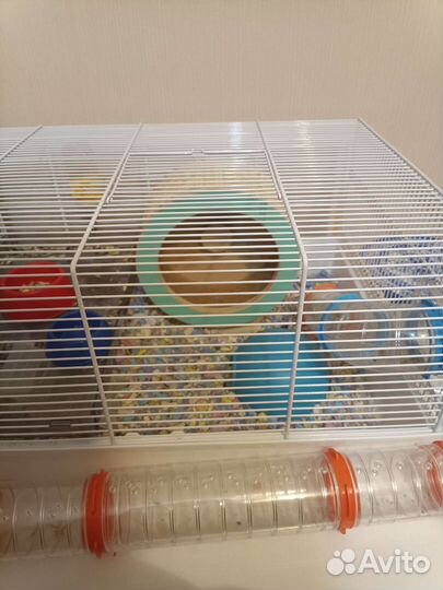 Хомяк с клеткой