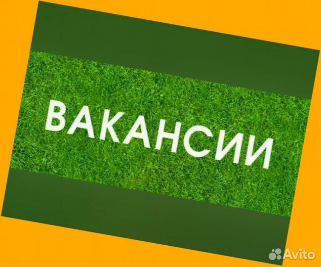 Кладовщик без опыта Еженедельные выплаты Одежда