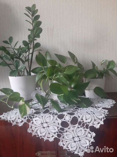 Салфетка (винтаж) связанная крючком