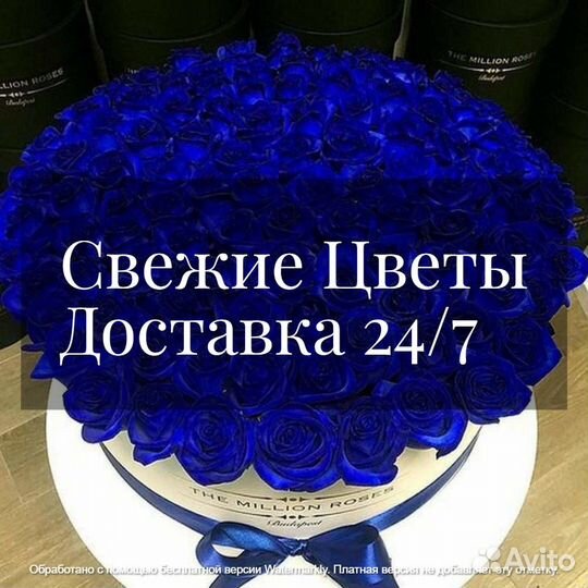 Cиние розы оптом