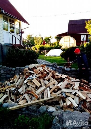 Дрова Береза