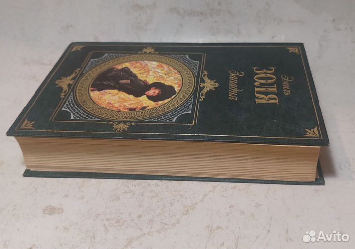 Золя Э. Западня