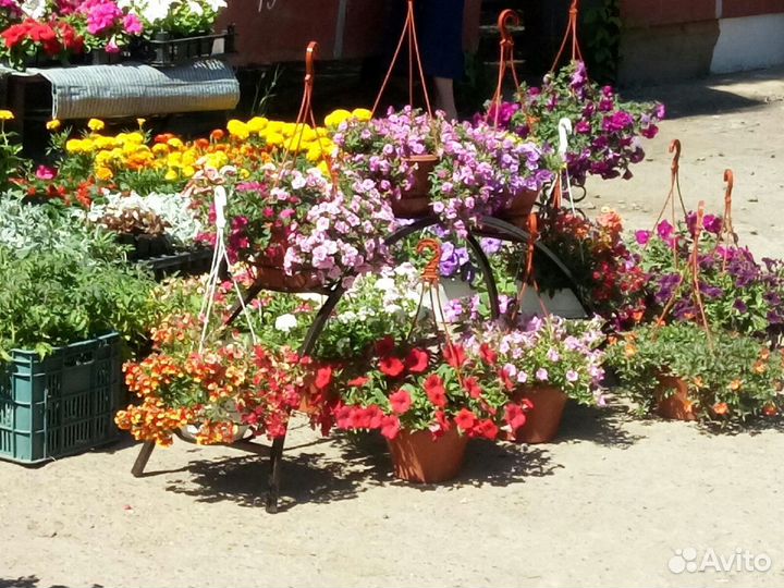 Подставка для цветов Цветочница арка