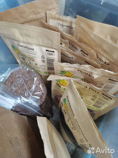 Продаю семена микрозелени