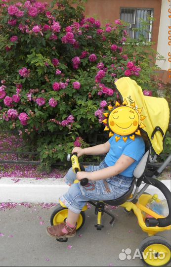 Коляска -Велосипед трёхколёсный Micio