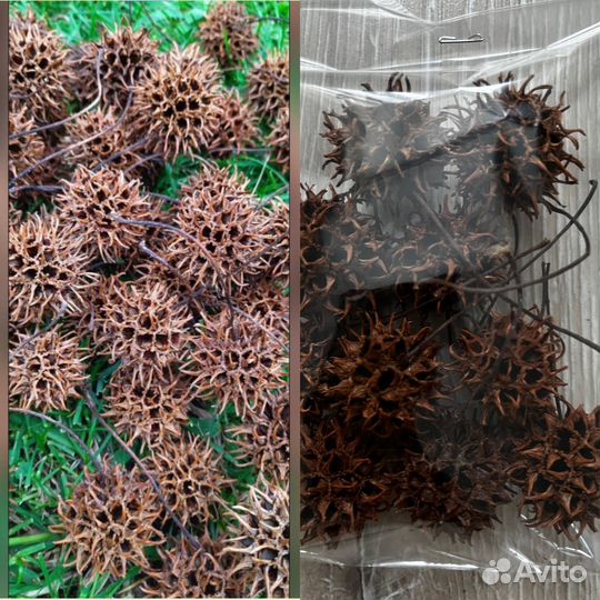 Шишки для поделок