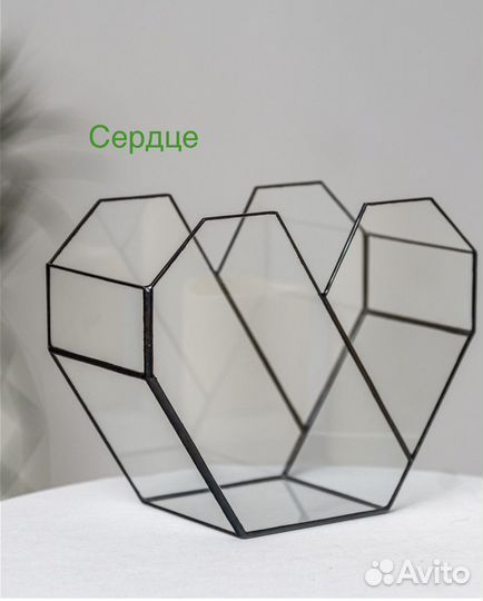 Флорариум новый