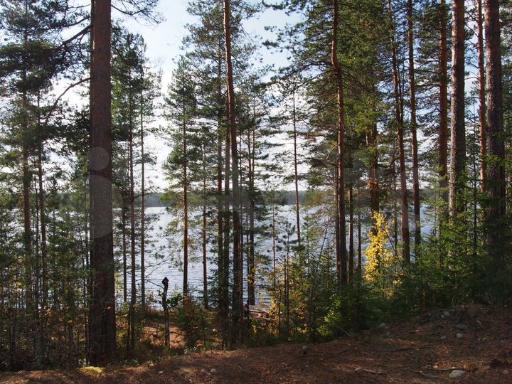 Участок 15 сот. (СНТ, ДНП)