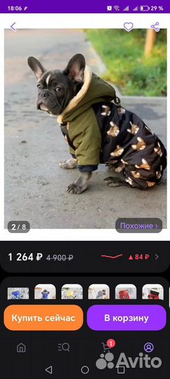 Вещи для собаки