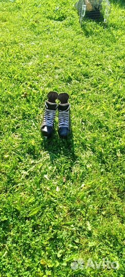 Хоккейные коньки bauer детские/взрослые