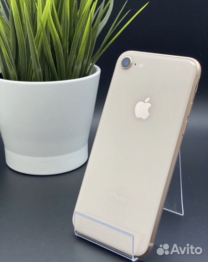 iPhone 8, 128 ГБ