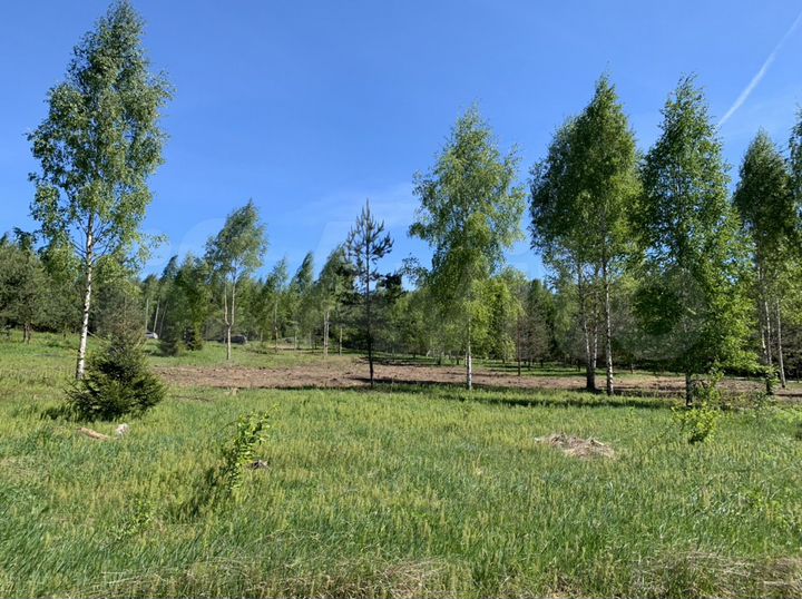 Участок 60 сот. (ИЖС)