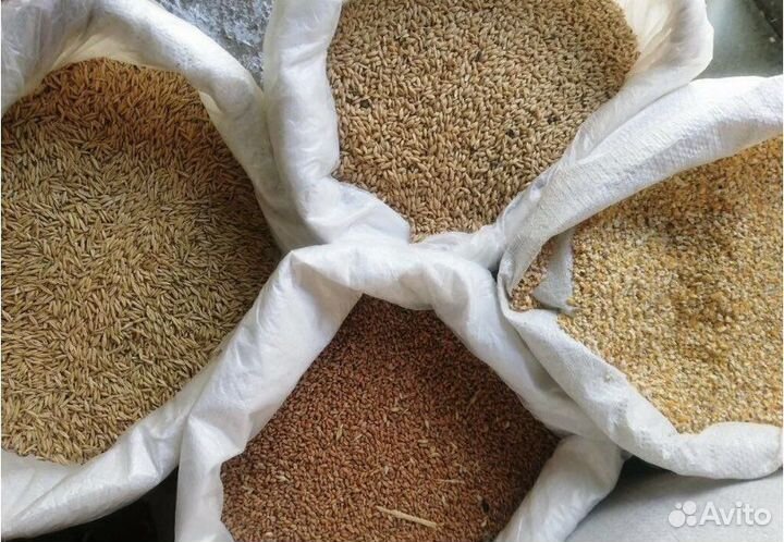 Комбикорм для с/х животных в г. Шилово