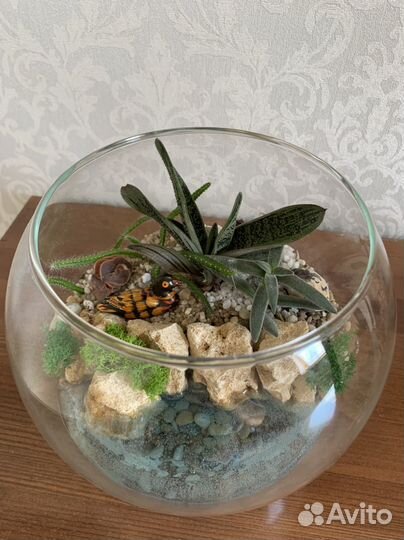 Флорариум суккуленты, подарок