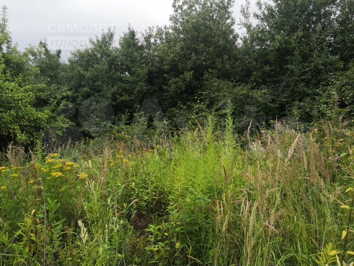 Участок 6 сот. (СНТ, ДНП)