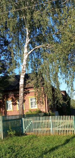 Дом 50 м² на участке 29 сот.