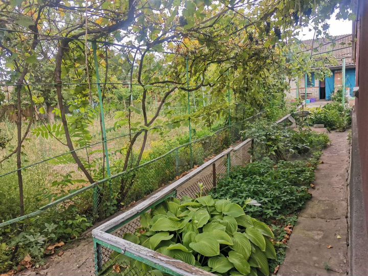 Дом 65,2 м² на участке 8 сот.