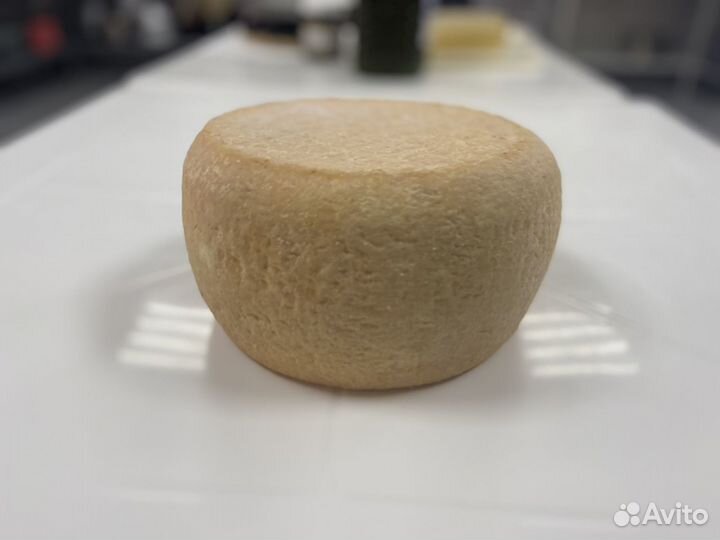 Научу варить сыр