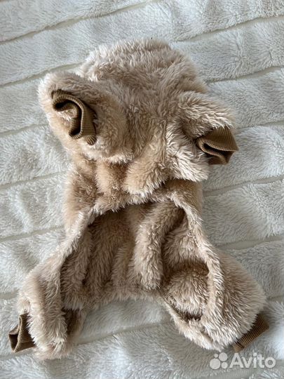 Одежда на собак мелких пород