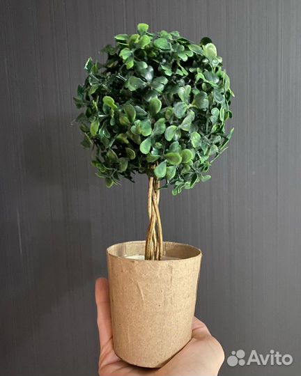Искусственное дерево самшит