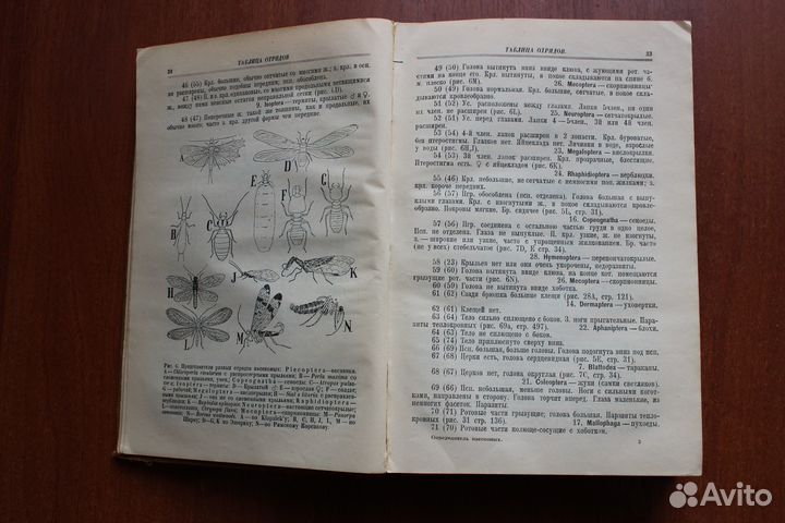 Филипьев И.Н. Определитель насекомых.1928г