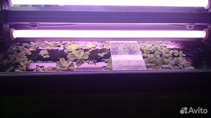 Дополнительное освещение для аквариумов, ремонт
