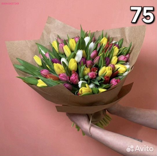 Тюльпаны в Пензе (Арт.81165)