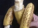 Банановый кинг конг