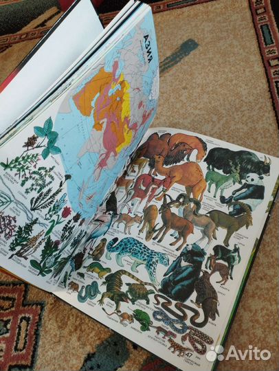 Географический атлас