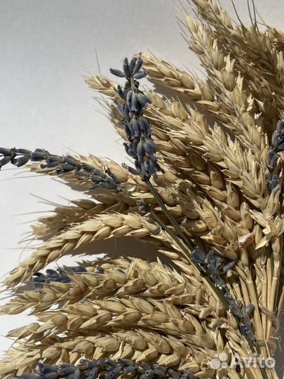 Венок-оберег из колосьев