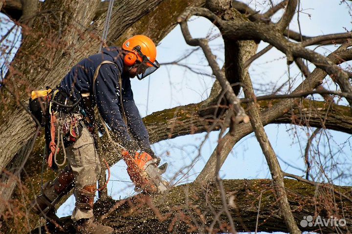 Уборка травы покос