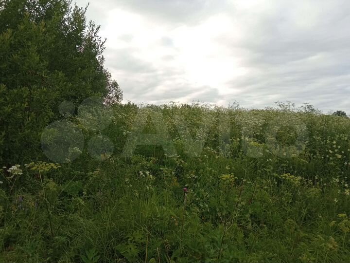 Участок 5 сот. (ИЖС)