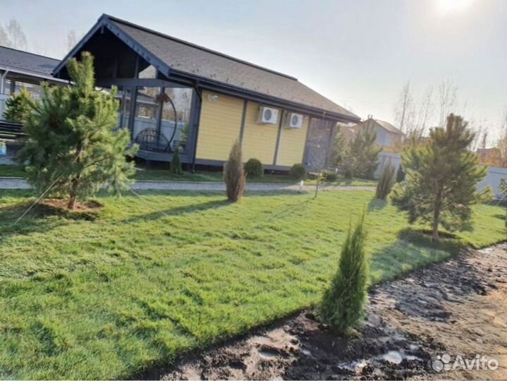 Рулонный газон из собственного питомника