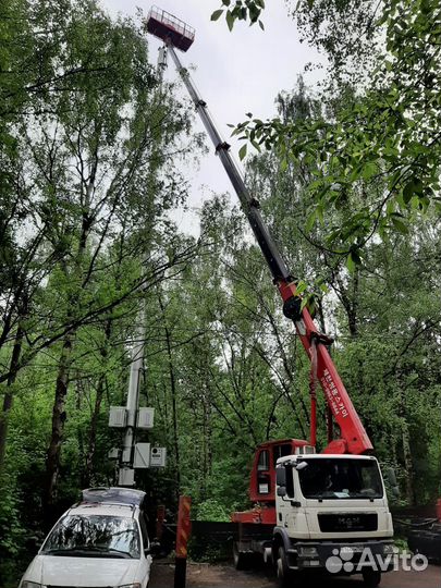 Аренда и услуги телескопической автовышки, 200 кг, 16 м