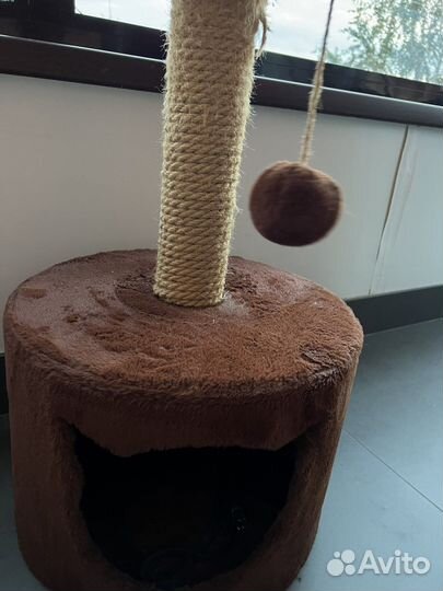 Когтеточка с домиком