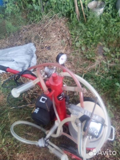 Доильный аппарат бу