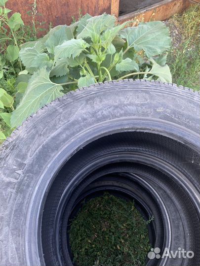 ATR Radial Platinum HP 8.4/4.5 R15